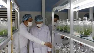 Un laboratorio en un centro de biotecnología en la ciudad de Da Nang (Foto: VNA)