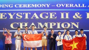 Vietnam y Singapur fueron proclamados campeones absolutos (Foto: VNA)