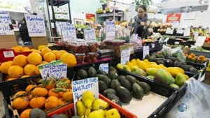 Las personas compran productos en un mercado de Ontario, Canadá. (Foto: Xinhua/VNA)
