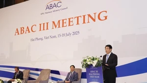 El presidente Luong Cuong interviene en la tercera reunión del Consejo Asesor Empresarial de la APEC. (Foto: VNA)