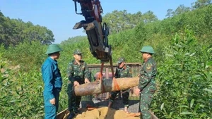 Autoridades de Nghe An desactivan de forma segura una bomba de 350 kg (Foto: VNA)