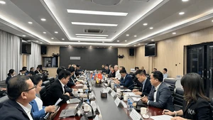 El viceministro vietnamita de Industria y Comercio, Nguyen Hoang Long, mantiene una reunión de trabajo con el viceministro lao de Industria y Comercio, Chansaveng Bounyong, en Vientián. (Foto: VNA)