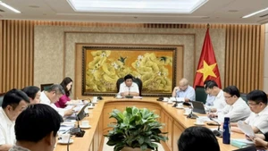 El viceprimer ministro Nguyen Chi Dung habla en la reunión. (Foto: VNA)