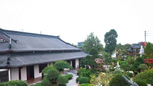 El apacible ambiente de la pagoda Phat Quang