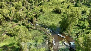 La base de datos forestales se completará a finales de este año, adaptándose al Reglamento de Deforestación de la UE (Foto: VNA)