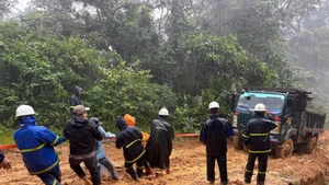 Lineros de la compañía eléctrica de Quang Tri superan todas las dificultades, esforzándose por llevar electricidad a las aldeas y poblados remotos antes del 15 de diciembre. (Foto: VNA)