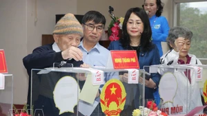 Vietnam realizó las elecciones legislativas el 15 de marzo. (Foto: VNA)