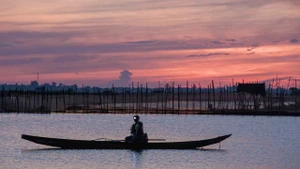 Imagen apacible de la laguna de Tam Giang