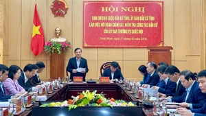 Escena del evento (Foto: Nhan Dan)