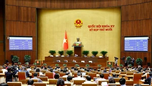 Panorama de la cita (Foto: VNA)