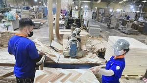 Producción de paneles de madera en la empresa Thuan An Wood. (Foto: VNA)