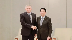 El presidente de Vietnam, Luong Cuong (derecha), se reúne con el primer ministro de Eslovaquia, Robert Fico (Foto: VNA)