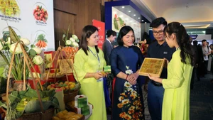 Los pabellones presentan el potencial económico y los productos típicos de Hai Phong. (Foto: VNA)