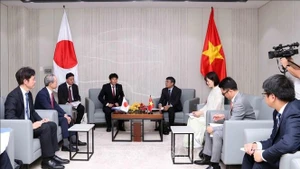 Panorama de la cita (Foto: VNA)