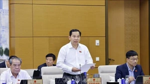 El secretario general del Parlamento y jefe de la Oficina del Consejo Electoral Nacional, Le Quang Manh (Foto: VNA)