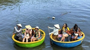 Los turistas disfrutan de paseos en bote cesta en el bosque de cocoteros (Foto: VNA)