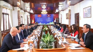 Panorama de la reunión. (Foto: VNA)