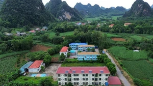 Inauguran ocho obras de educación y formación en conmemoración al 80.º aniversario de la Revolución de Agosto y del Día Nacional de Vietnam. (Foto: VNA)