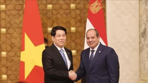 El presidente de Vietnam, Luong Cuong (izquierda), y su homólogo de la República Árabe de Egipto, Abdel Fattah El-Sisi (Foto: VNA)