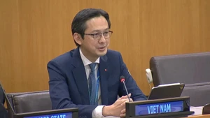 El embajador Do Hung Viet, jefe de la misión permanente de Vietnam ante la ONU, interviene en la sesión (Foto: VNA)