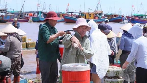 La norteña provincia vietnamita de Ninh Binh intensifica sus esfuerzos para implementar las directivas del Gobierno sobre la lucha contra la pesca ilegal (Foto: VNA)