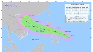 Tormenta Bualoi se convertirá en el tifón No.10 al entrar al Mar del Este. (Foto: Centro Nacional de Pronóstico Hidrometeorológico de Vietnam)
