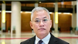 El subjefe de la Comisión de Defensa, Seguridad y Asuntos Exteriores de la Asamblea Nacional, Don Tuan Phong. (Foto: VNA)