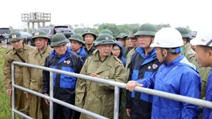 El viceprimer ministro Tran Hong Ha inspecciona los preparativos para la prevención de tifones en la provincia norteña de Hung Yen (Foto: VNA)
