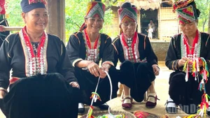 Honrarán en octubre identidad cultural de grupos étnicos vietnamitas.