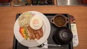 El plato "Arroz partido vietnamita con cerdo" (Foto: VNA)