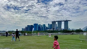 Foto de ilustración. (Fuente: VNA)