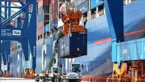 Carga y descarga de mercancías de importación y exportación en el Puerto Internacional de Gemalink (Foto: VNA)