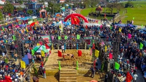 Cada año, el día 10 del primer mes lunar, el Festival de Lucha de la aldea Sình atrae a numerosos habitantes y visitantes que acuden a presenciarlo. (Foto: VGP) 