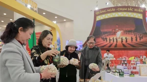 Visitantes a la Feria de Primavera (Fuente: VNA)