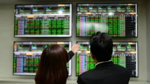 Foto de ilustración (Fuente: VNA)