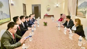 En la sesión de trabajo con el viceministro cubano de Educación Superior, Reynaldo Veláquez Zaldívar (Foto: VNA)