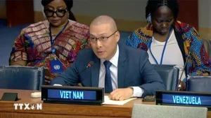 Nguyen Hoang Nguyen, ministro consejero y subjefe de la delegación vietnamita ante la Organización de las Naciones Unidas (Fuente: VNA) 