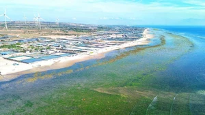 El distrito de Thuan Nam, provincia de Ninh Thuan, fue elegido como sede para la construcción de la central nuclear Ninh Thuan 1. (Foto: VNA) 