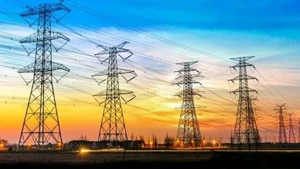 Premier vietnamita insta a garantizar suministro eléctrico durante meses de mayor demanda. (Foto: VGP)