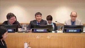 El vicecanciller Pham Minh Vu preside la reunión. (Foto: VNA) 