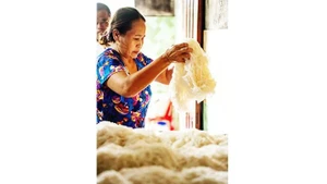 La aldea de producción artesanal de fideos Van Cu