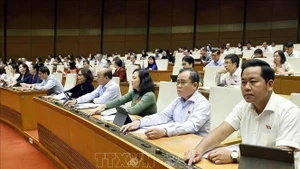 Los diputados votan para adoptar la resolución (Foto: VNA) 