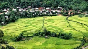 En la Reserva Natural de Pu Luong. (Fuente: vietnam.vnanet.vn)