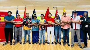 Delegados en el evento. (Fuente: VNA)