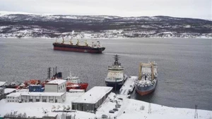 Imagen ilustrativa. (Fuente: VNA)