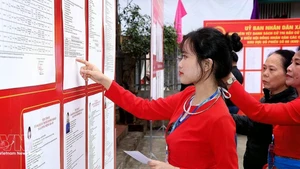 Los votantes de la minoría étnica Muong, que votan por primera vez, estudian detenidamente las biografías de sus candidatos. (Foto: VNA)
