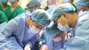 Los médicos realizaron una demostración quirúrgica en vivo. (Fuente: VNA)