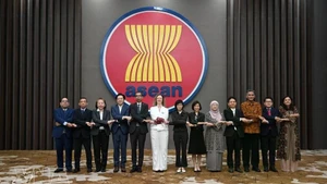 Delegados asisten a la quinta reunión del Comité Conjunto de Cooperación Asean-Reino Unido. (Foto: VNA)