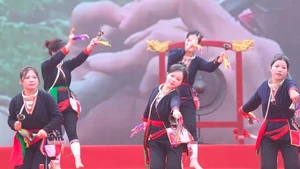 Preservan valores culturales del Festival del Santo de la Montaña de Tan Vien en la tierra Doai