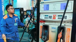 Foto ilustrativa (Fuente: VNA)